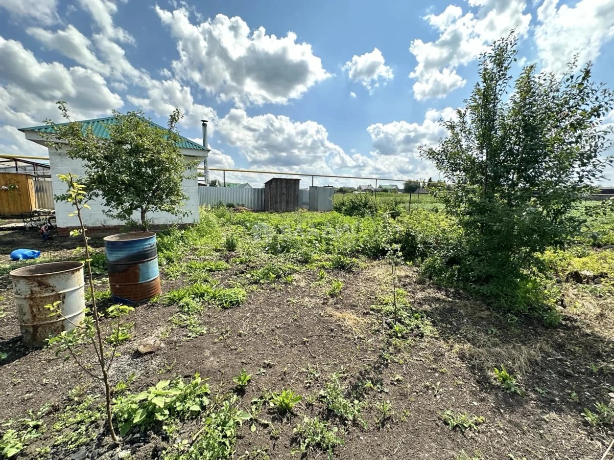Photo 45