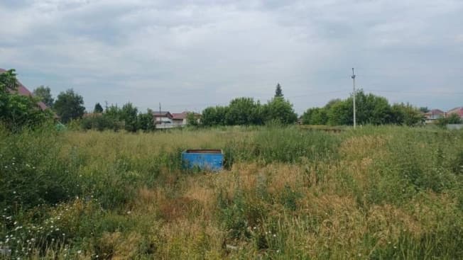 Купить земельный участок в Колыванском районе в Новосибирской области. Вариант № 2255282, 1, площадь - квм, цена 4200000 рублей