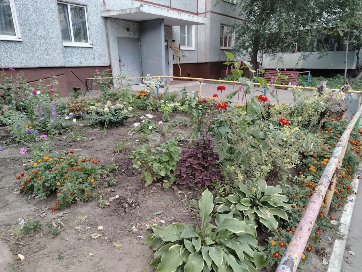 Photo 22