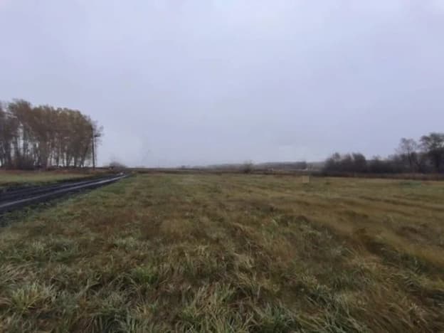 Купить земельный участок в Новосибирском районе в Новосибирской области. Вариант № 2203808, 1, площадь - квм, цена 600000 рублей