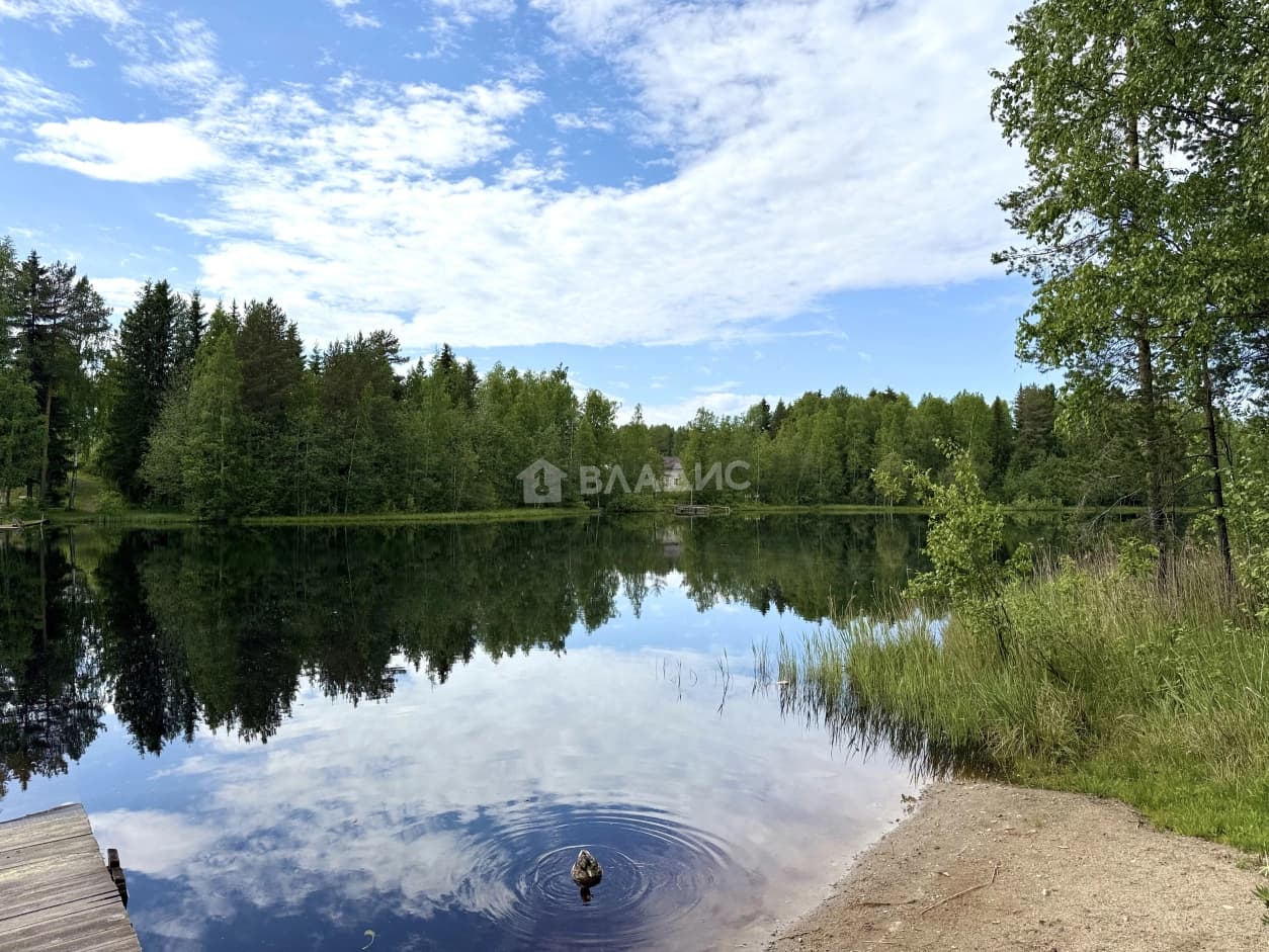 Photo 49