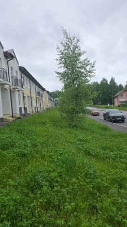 Купить пятикомнатную квартиру с балконом в Ленинградской области. Вариант № 2233864, 1, площадь - квм, цена 9800000 рублей