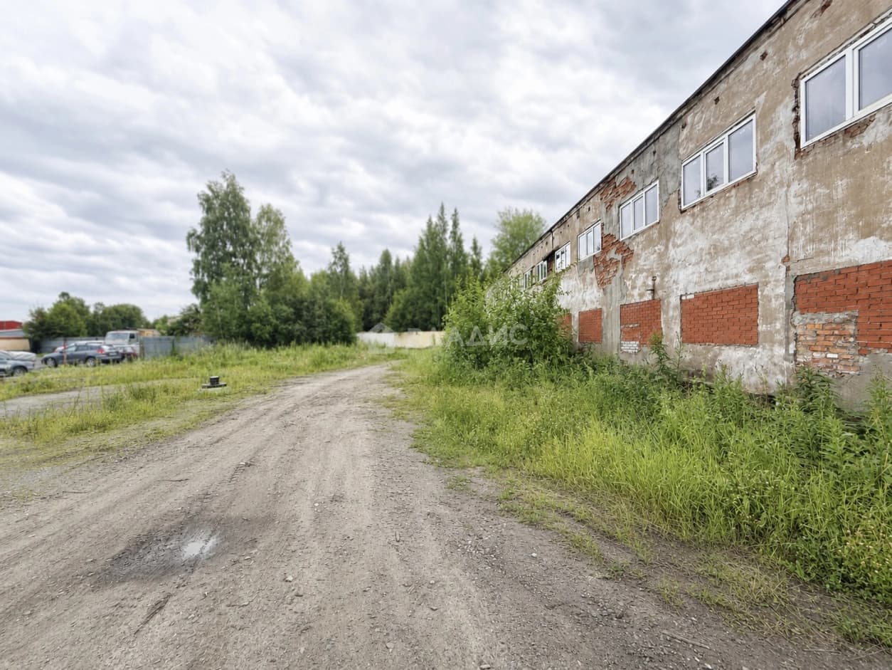 Photo 31