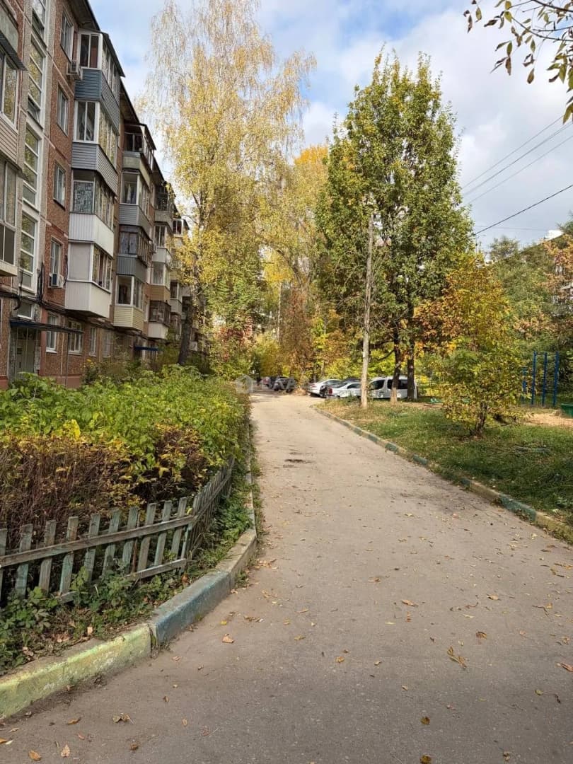 Photo 10