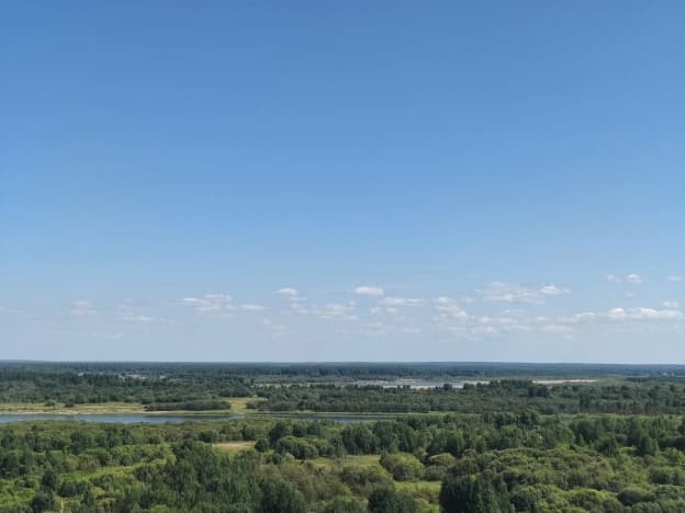 Купить земельный участок в Архангельской области. Вариант № 2274859, 0, площадь - квм, цена 6000000 рублей