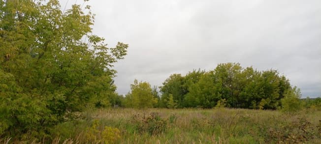 Купить земельный участок в ЛПХ в Республике Татарстан (татарстан). Вариант № 1134062, 1, площадь - квм, цена 3000000 рублей