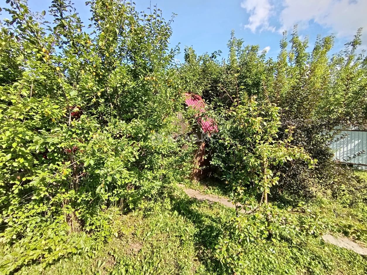 Photo 35