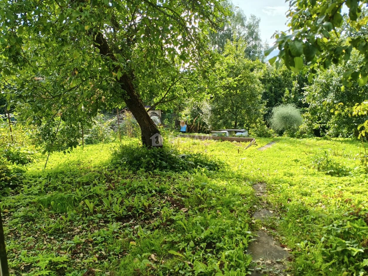 Photo 27