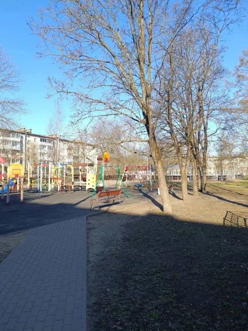 Photo 6