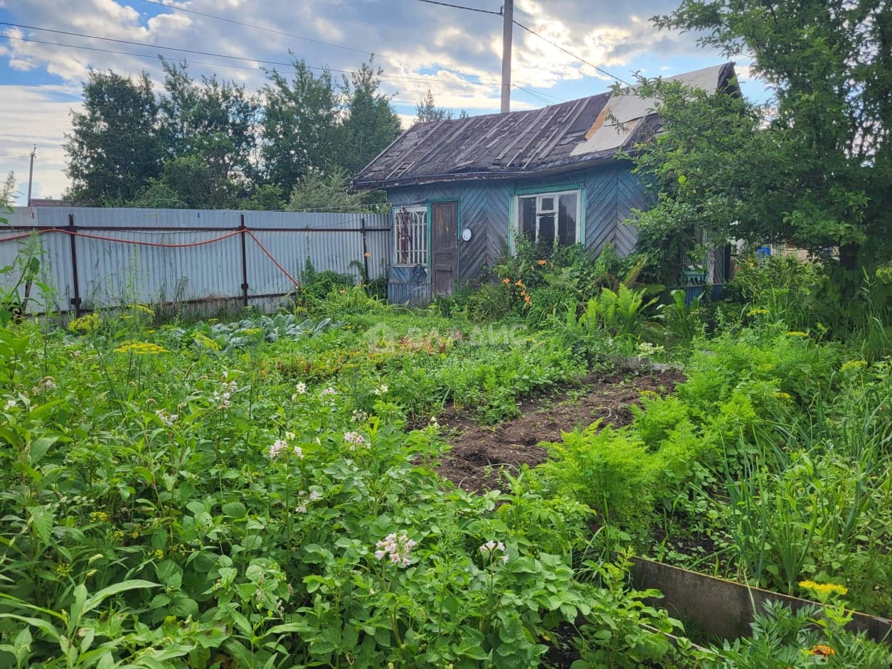 Photo 38