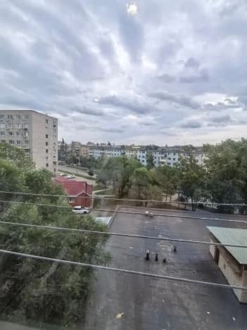 Купить квартиру площадью 20 кв.м на вторичке в Приморском крае. Вариант № 2233880, 0, площадь - квм, цена 1800000 рублей
