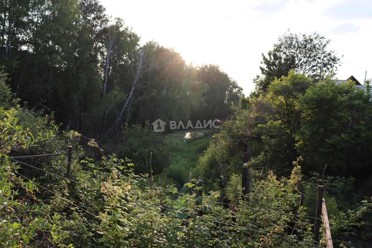 Photo 42