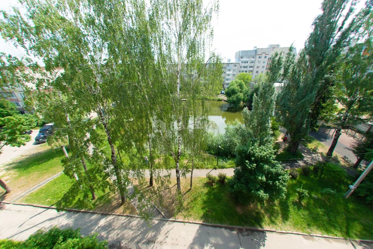 Photo 17