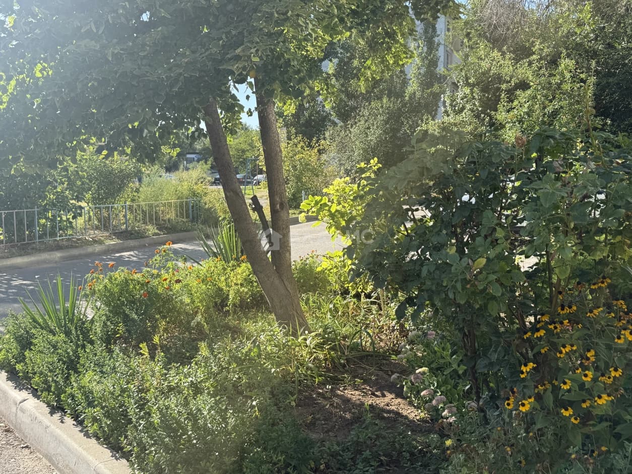 Photo 31
