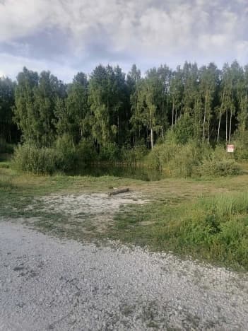 Купить земельный участок в Судогодском районе в Владимирской области. Вариант № 991147, 1, площадь - квм, цена 300000 рублей