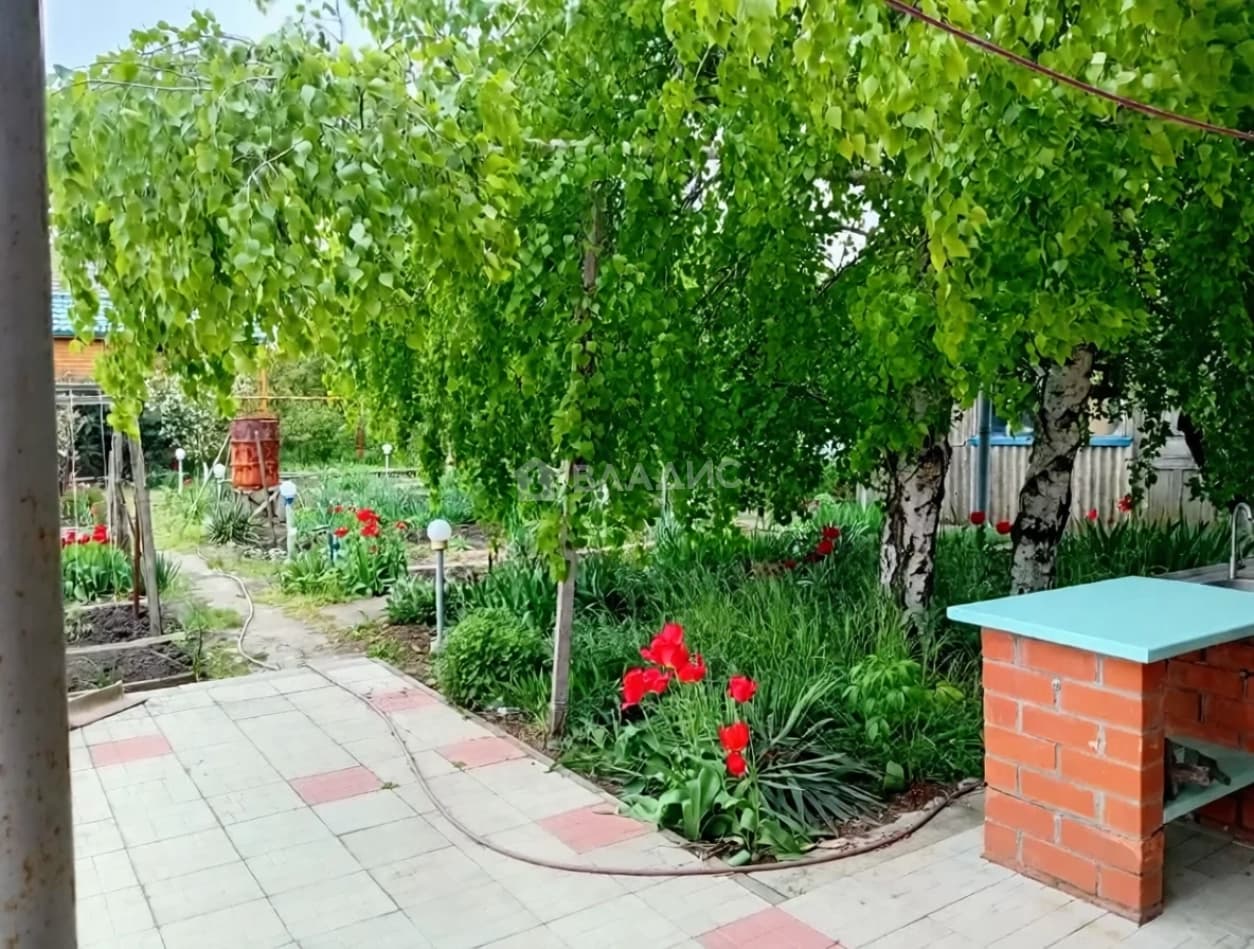 Photo 31