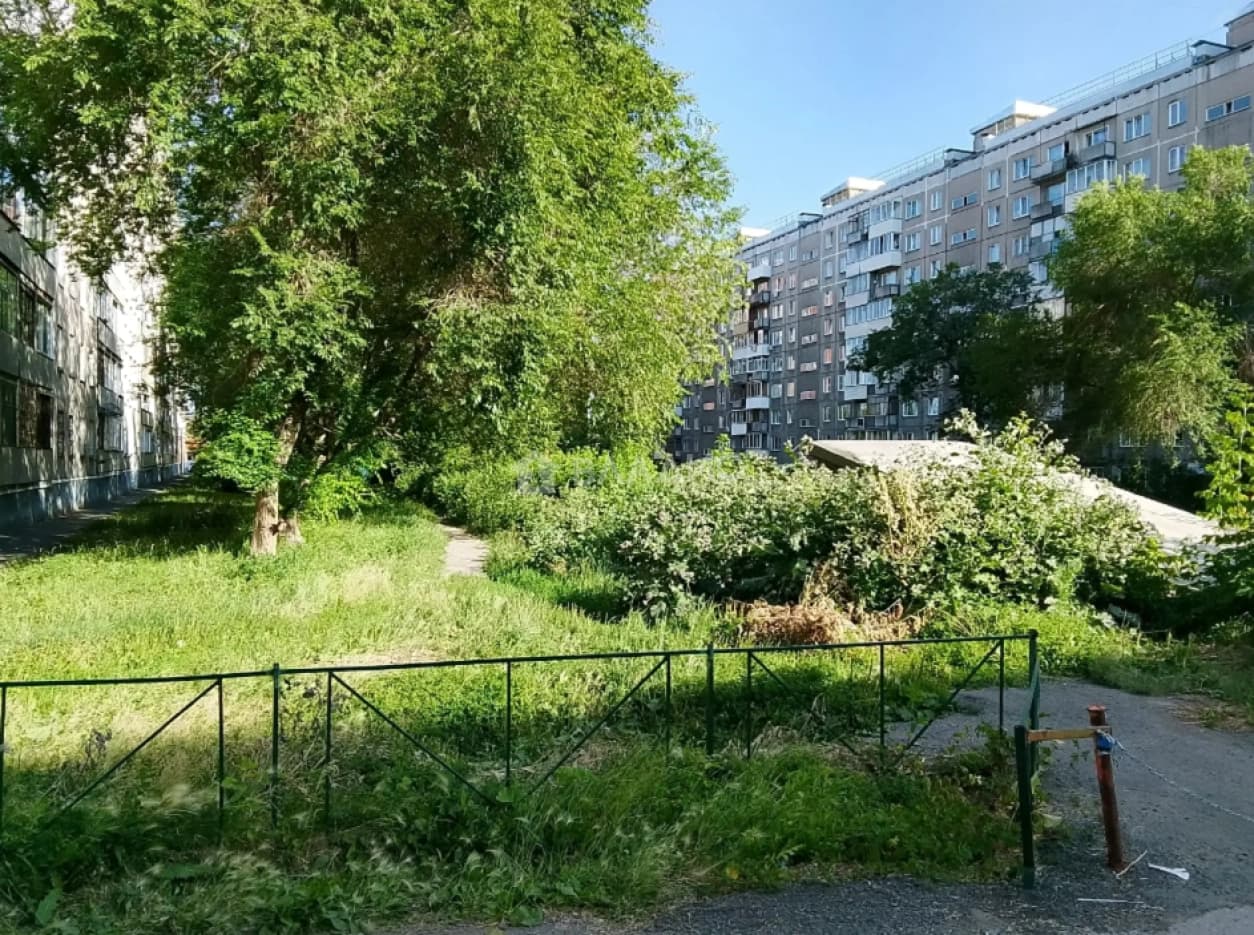 Photo 19