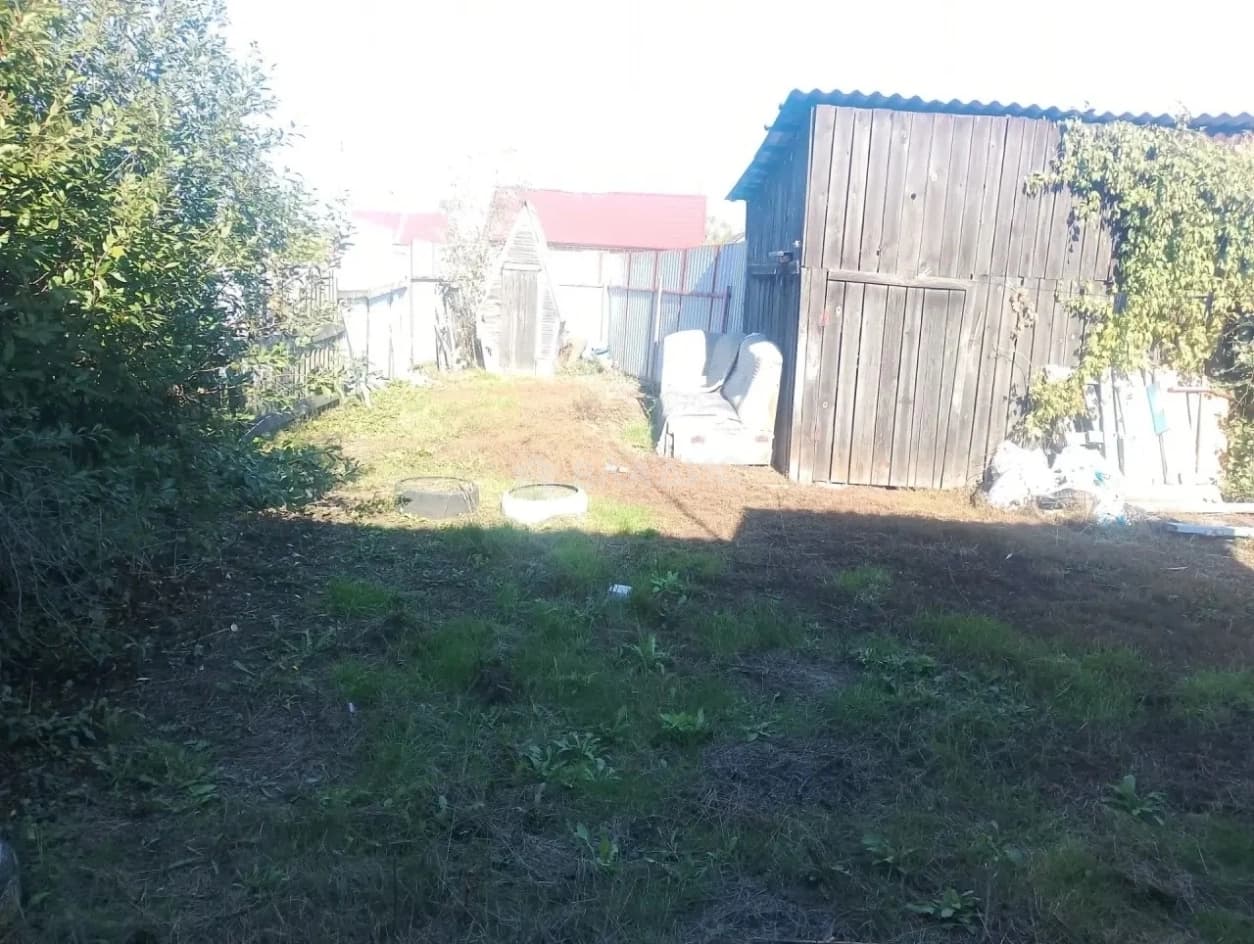 Photo 12