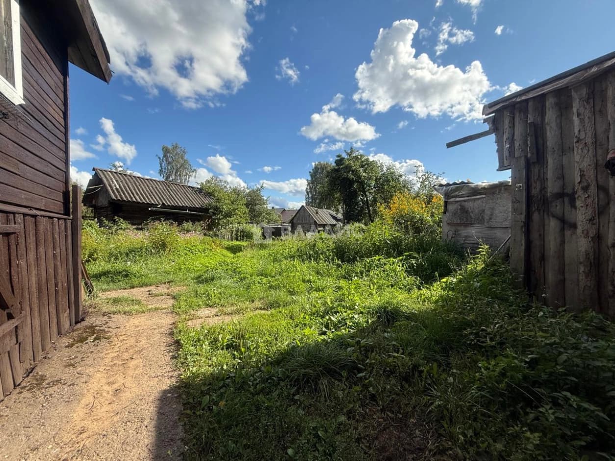 Photo 25