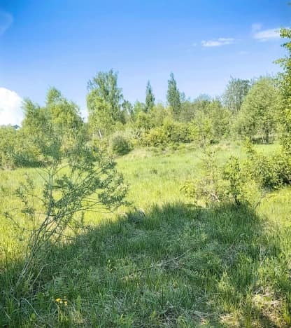 Купить земельный участок в Рыбинске. Вариант № 2190696, 1, площадь - квм, цена 999000 рублей