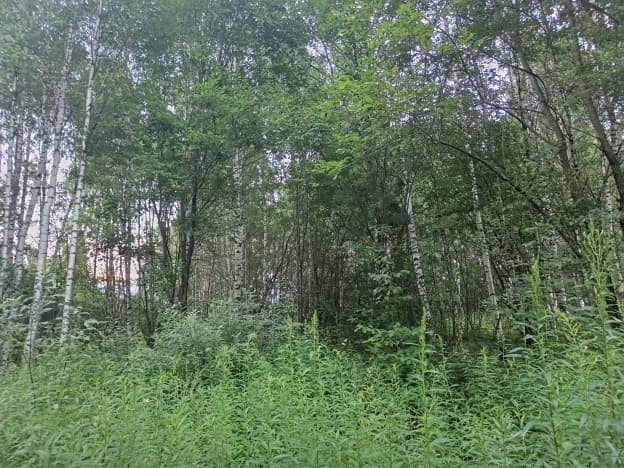Купить земельный участок в селе Суходол в Суздальском районе на улице Владимирский тупик, село Суходол в Владимирской области. Вариант № 2257157, 1, площадь - квм, цена 700000 рублей