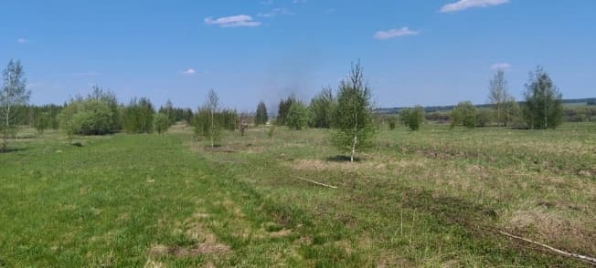 Купить земельный участок в селе Тырново в Пронском районе в Рязанской области. Вариант № 2112868, 0, площадь - квм, цена 870000 рублей