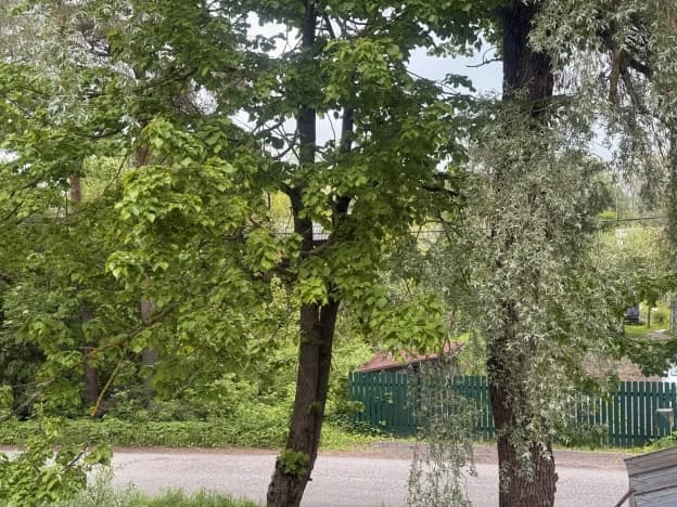 Купить трехкомнатную квартиру на вторичке в Деревне Касимове в Всеволожском районе в Ленинградской области. Вариант № 2192879, 1, площадь - квм, цена 5000000 рублей