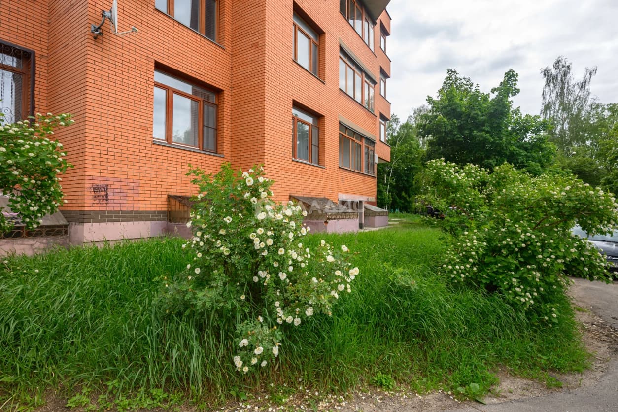 Photo 46