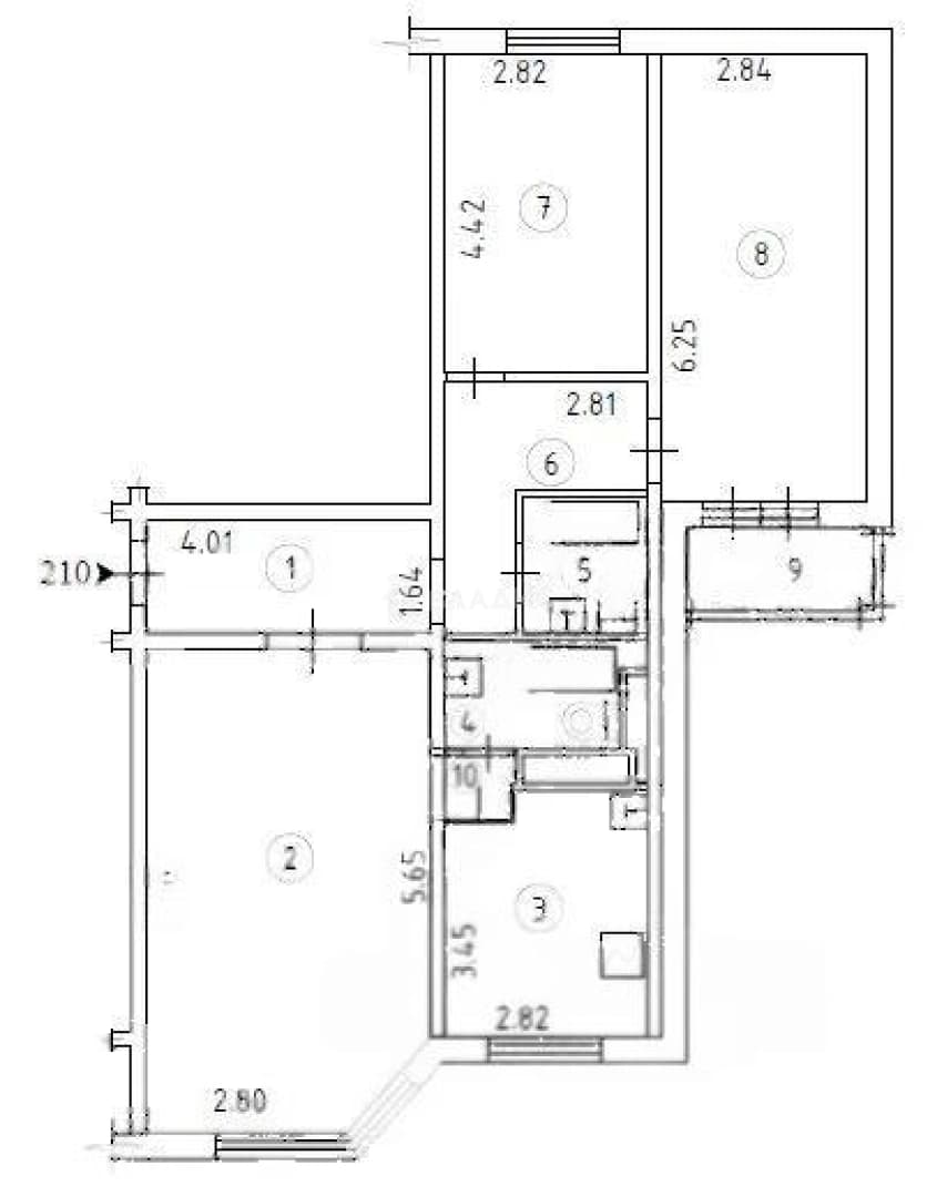 Photo 11