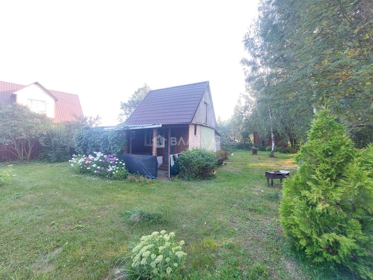 Photo 5