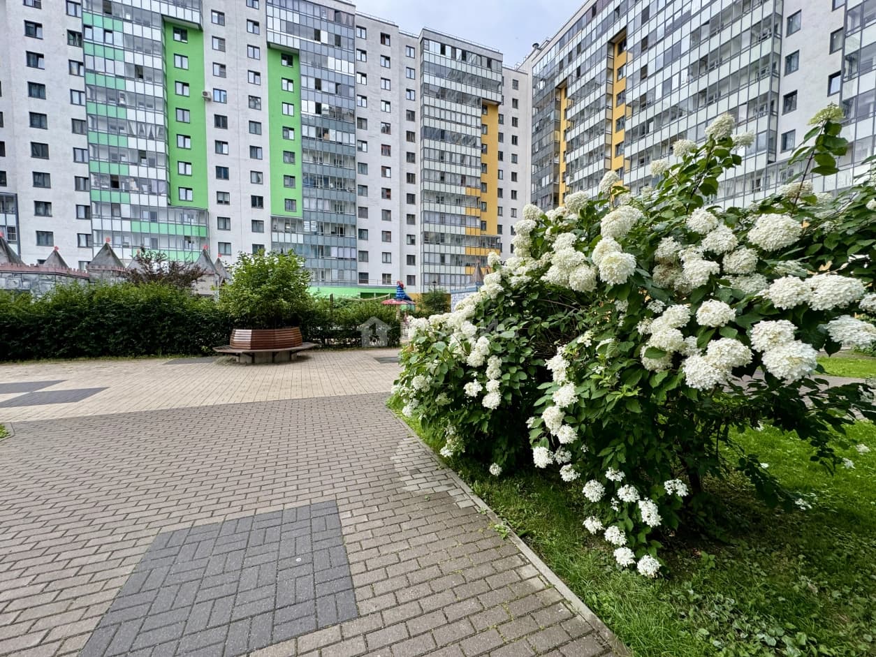 Photo 26