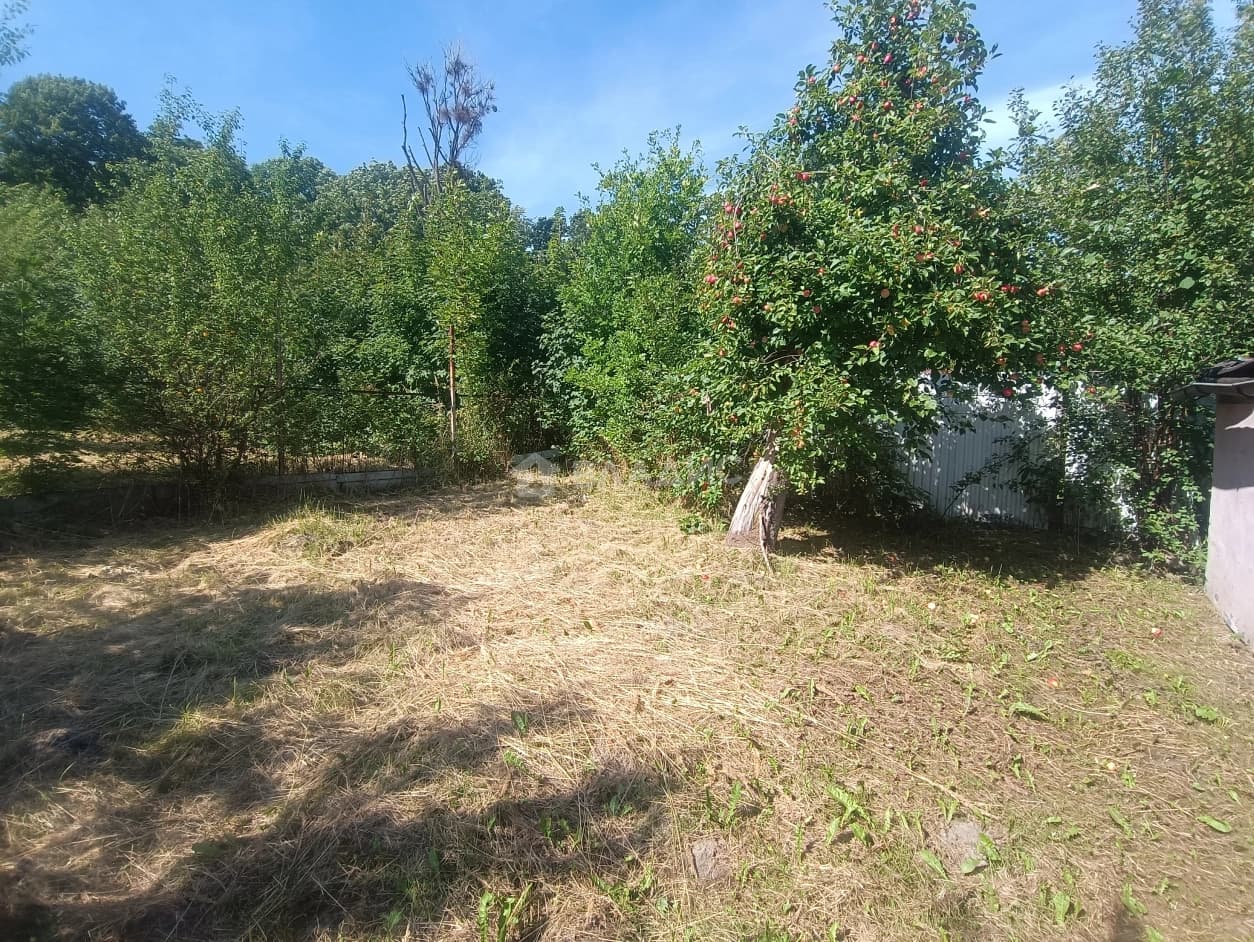 Photo 38