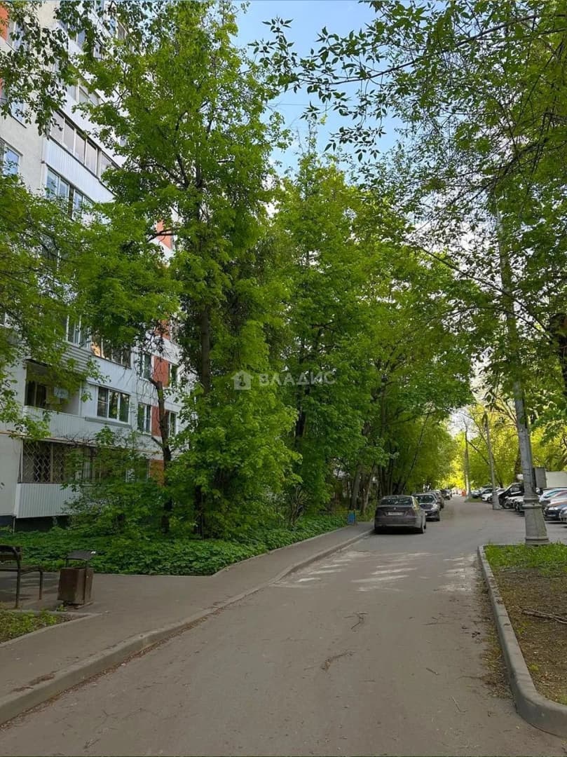 Photo 17
