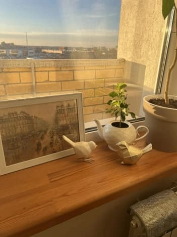 Снять двухкомнатную квартиру на улице Ноябрьская в Владимире. Вариант № 2328606, 1, площадь - квм, цена 35000 рублей