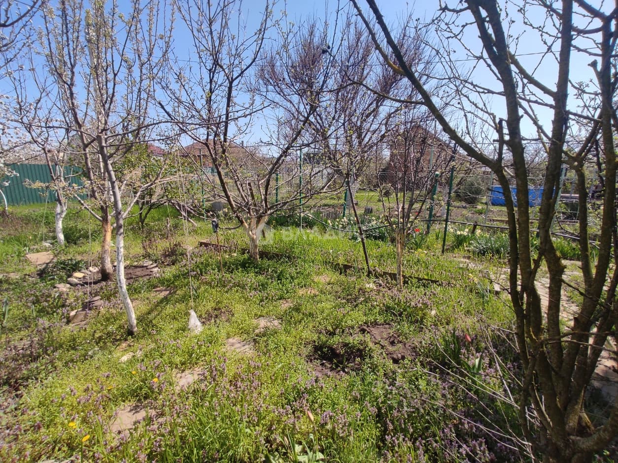 Photo 24