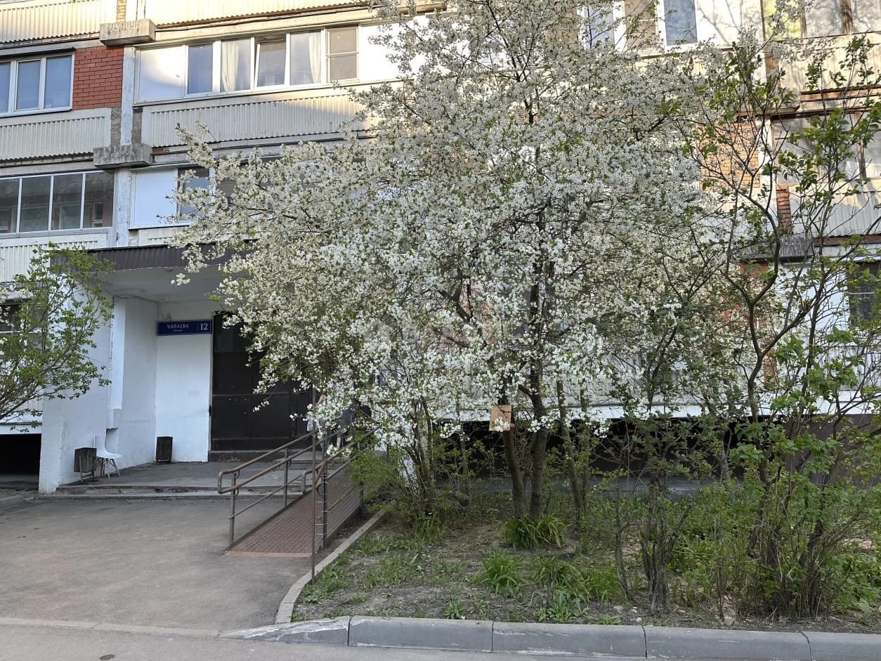 Photo 28