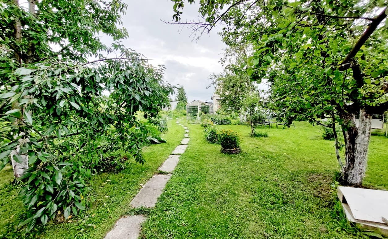 Photo 8