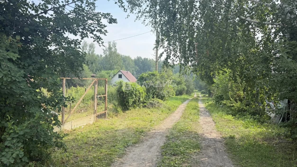 Photo 21