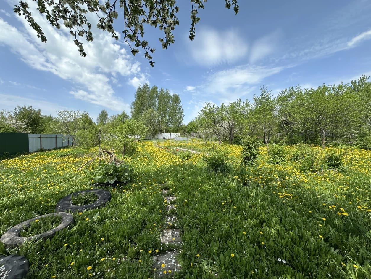 Photo 29