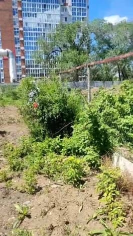 Купить земельный участок в Благовещенске. Вариант № 2314443, 0, площадь - квм, цена 16500000 рублей