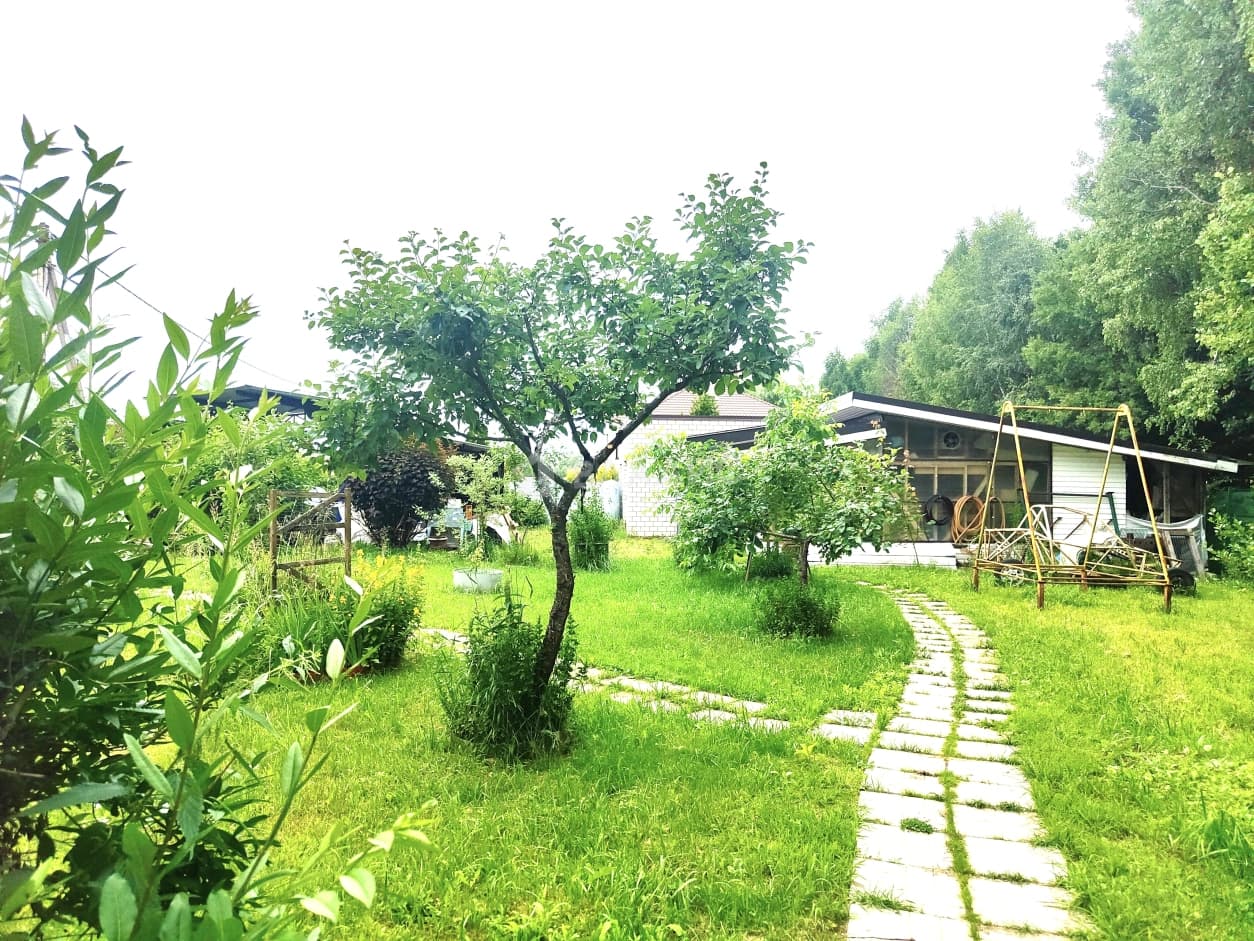 Photo 49