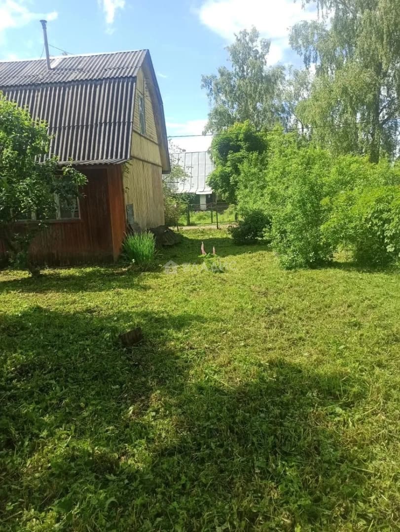 Photo 5