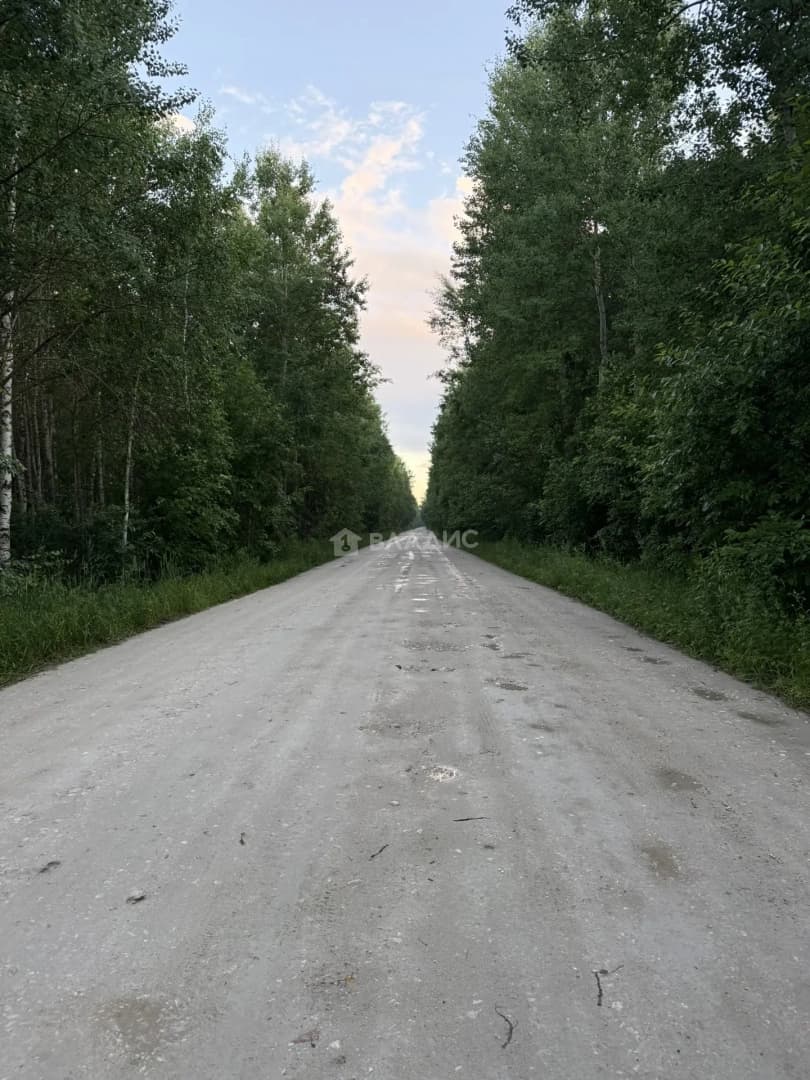 Photo 44