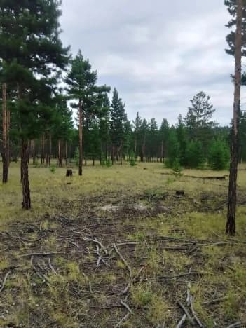 Купить земельный участок в селе Засопка в Читинском Муниципальном Округе на улице Сиреневая , село Засопка в Забайкальском крае. Вариант № 2287381, 0, площадь - квм, цена 200000 рублей