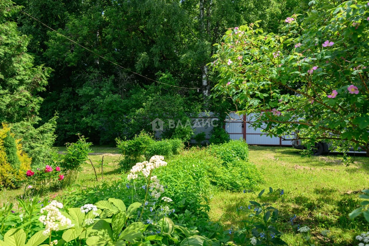 Photo 48
