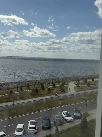Купить квартиру на улице Пушкинская в Санкт-Петербурге. Вариант № 2294995, 1, площадь - квм, цена 33900000 рублей