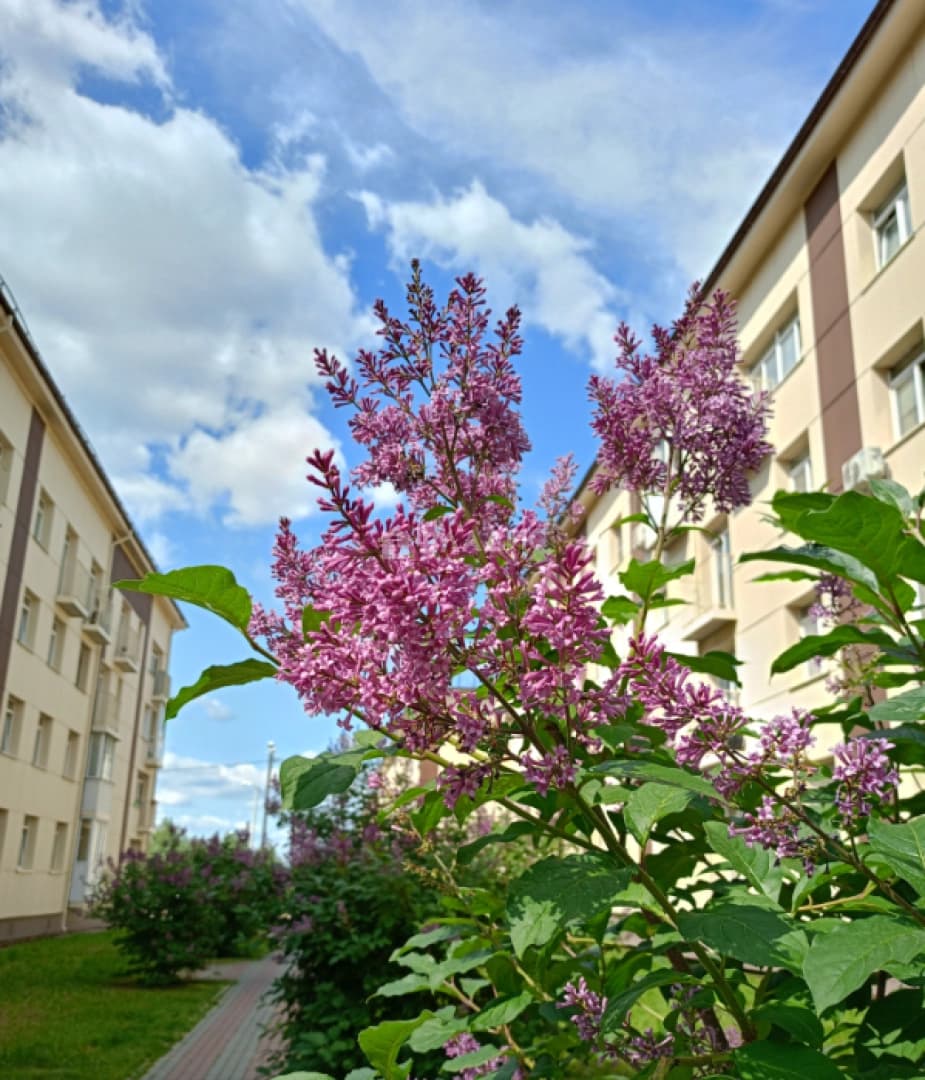 Photo 24