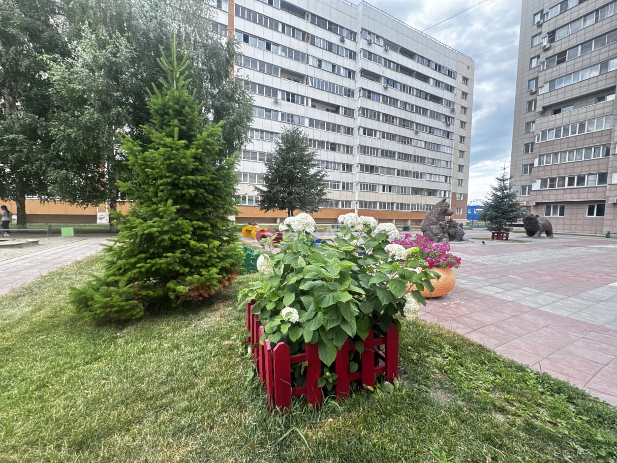 Photo 31
