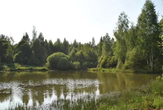 Купить дачу в Пензенской области. Вариант № 2282499, 0, площадь - квм, цена 490000 рублей