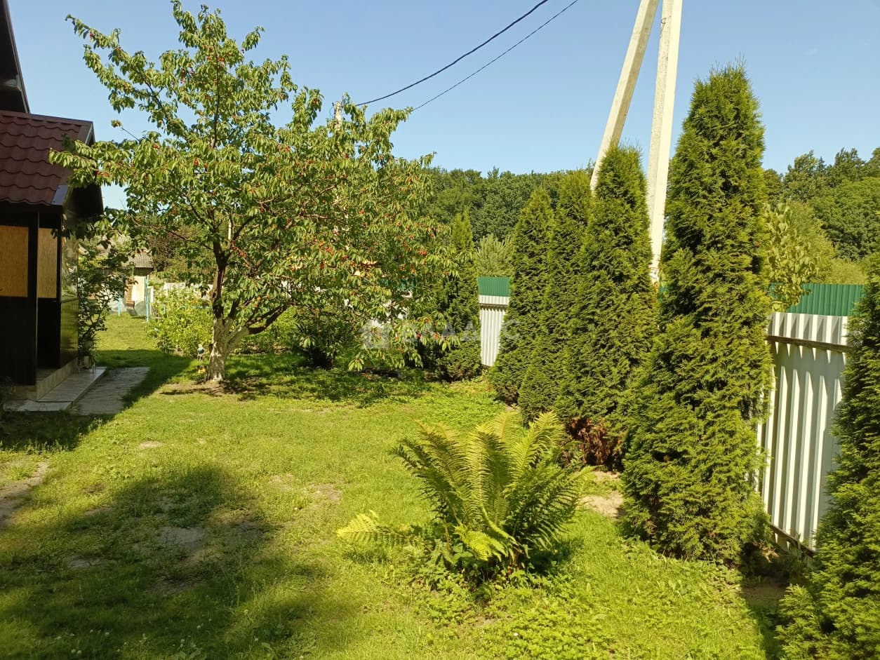 Photo 35
